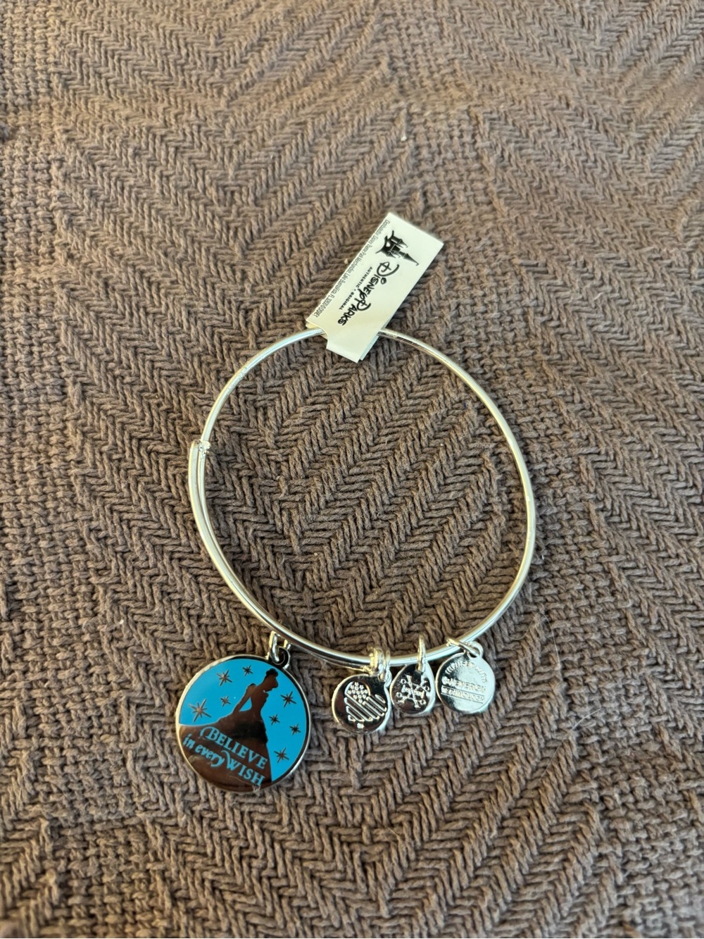 Alex and Ani Silver-tone Blue 'Believe in the Wish' Charm Bangle